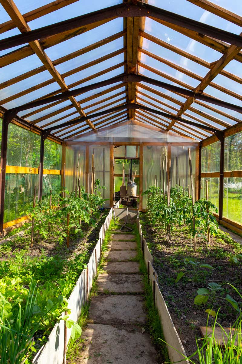 Exolon-UV-Solid Exolon-UV-Solid