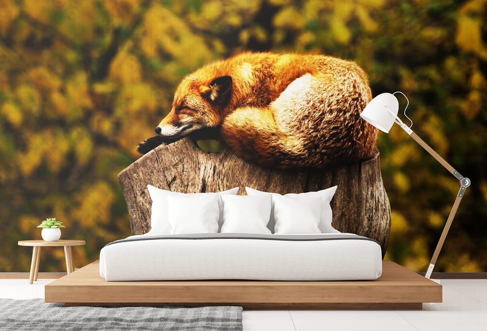 Arlon DPF 4300 - Sleeping Fox