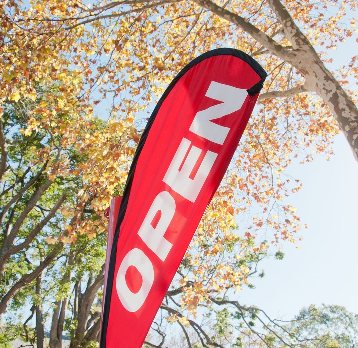 Ύφασμα Σημαίας Flag D001