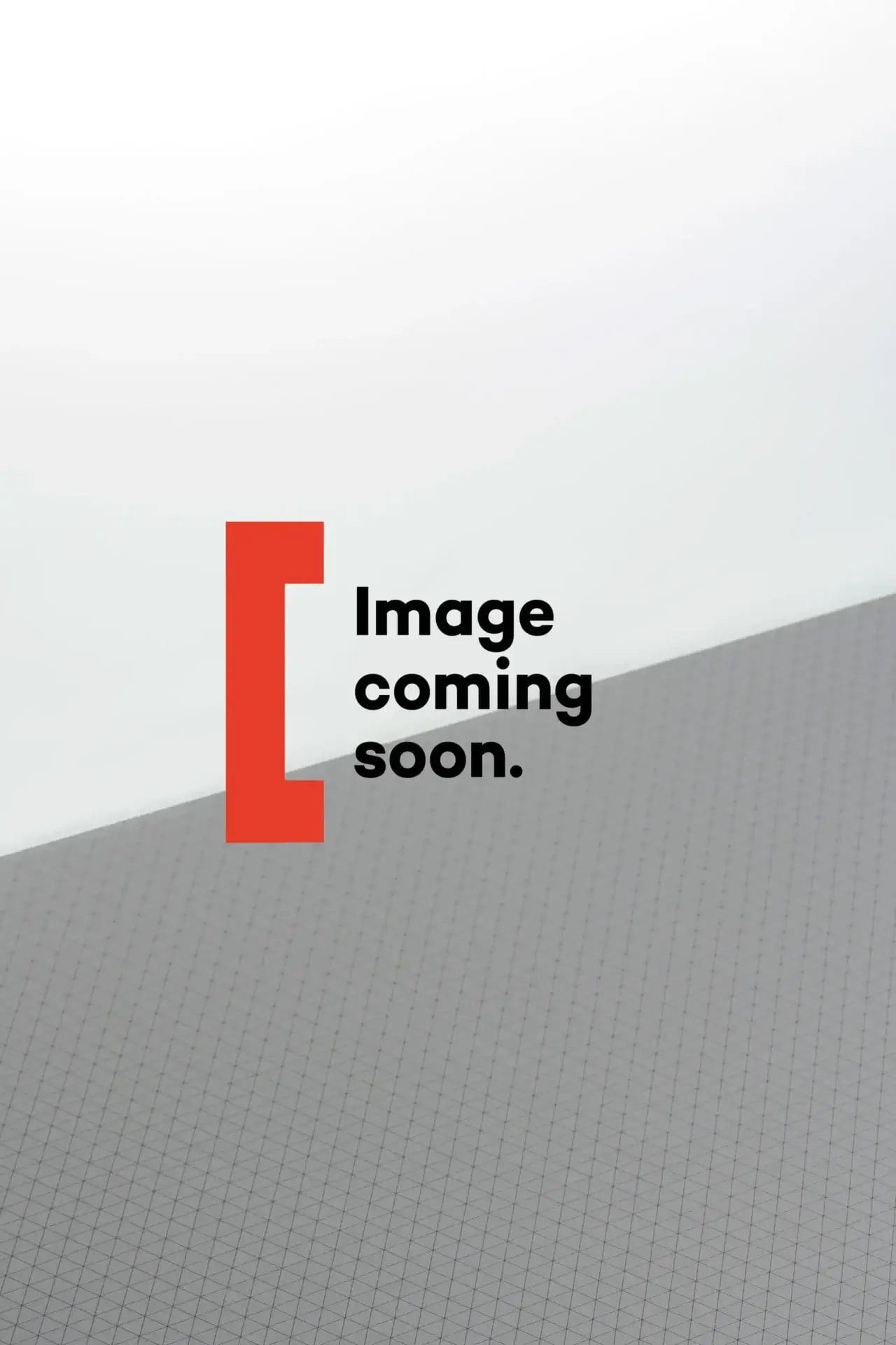 Plexiglas® Satinice White Snow WM513 DC Plexiglas® Satinice White Snow WM513 DC