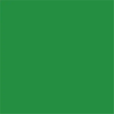 Ri-Mark Event 179 Bright Green Gloss