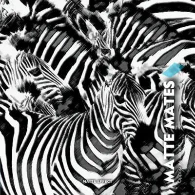 MATTE MATES – Etalbond®