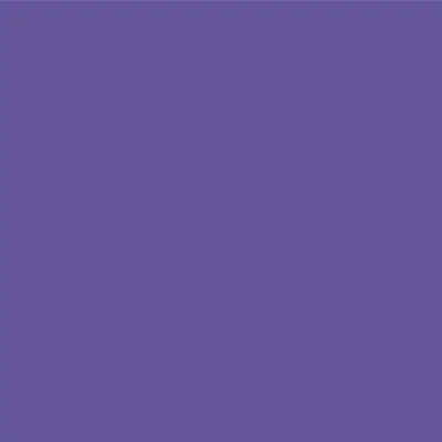 Ri-Mark Optima 451 Purple