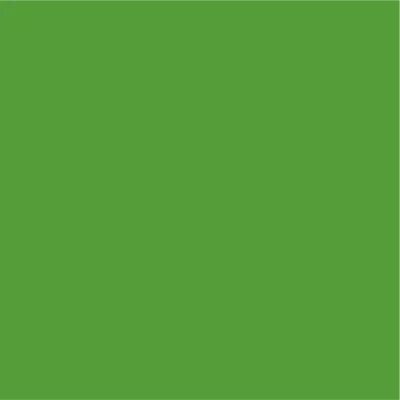 Ri-Mark Optima 485 Green