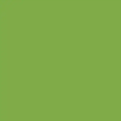 Ri-Mark Optima 487 Lime Green