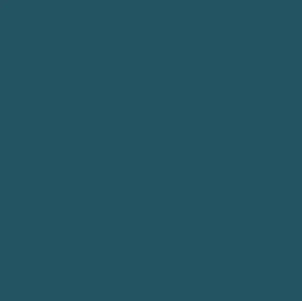 Ri-Mark Platinum Dark Lagoon 843