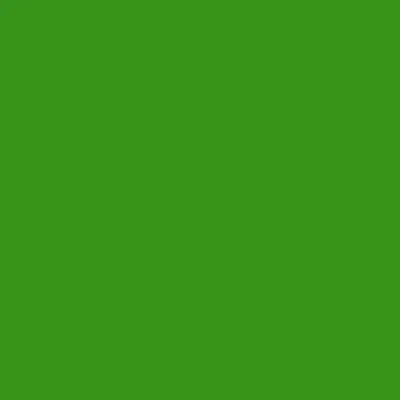 Ri-Mark Platinum Grass Green 849