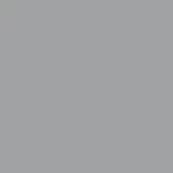 Ri-Mark Platinum Silver 863