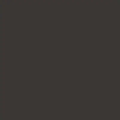 Ri-Mark Platinum Anthracite Matt 865
